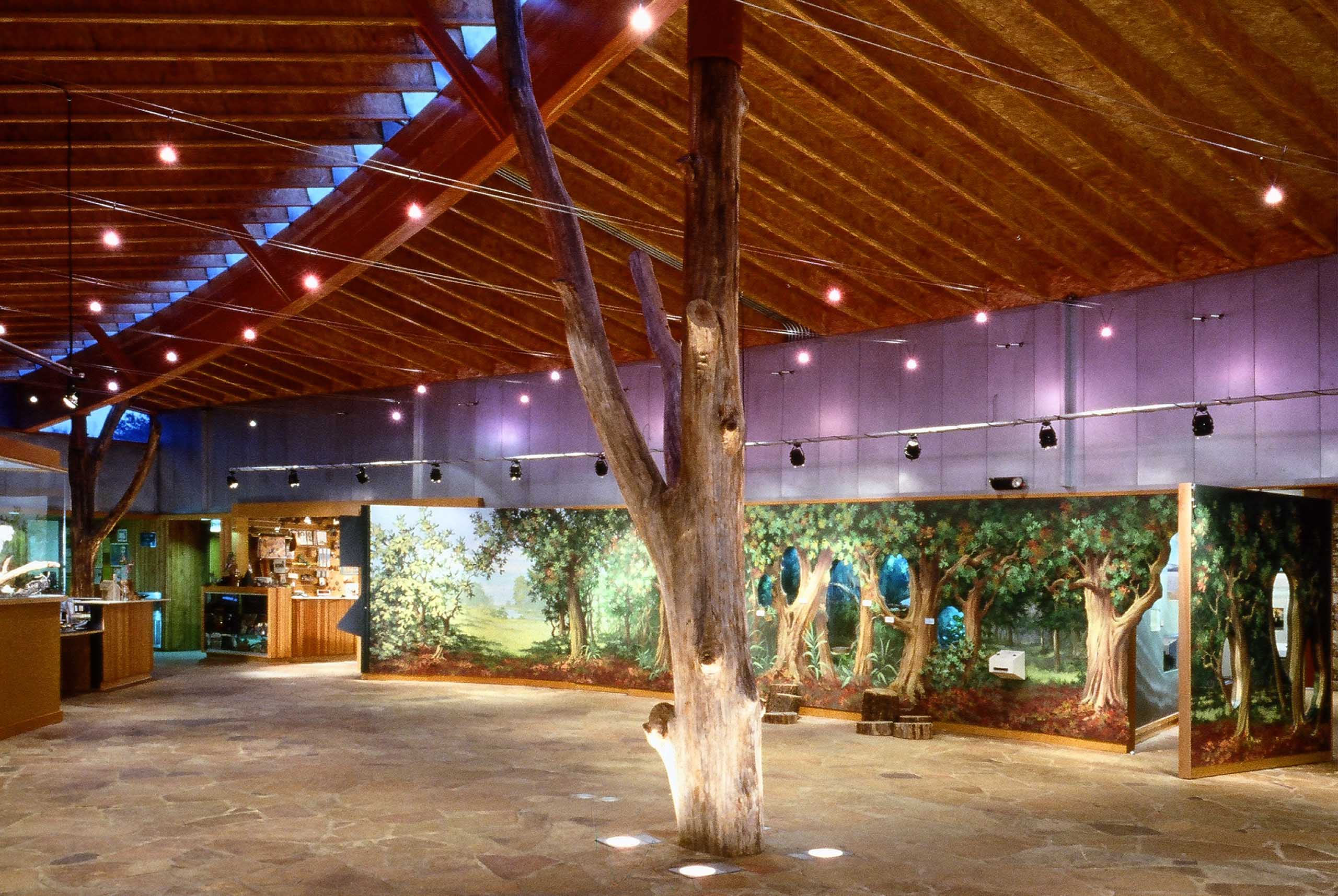 Interior view of River Legacy Living Science Center