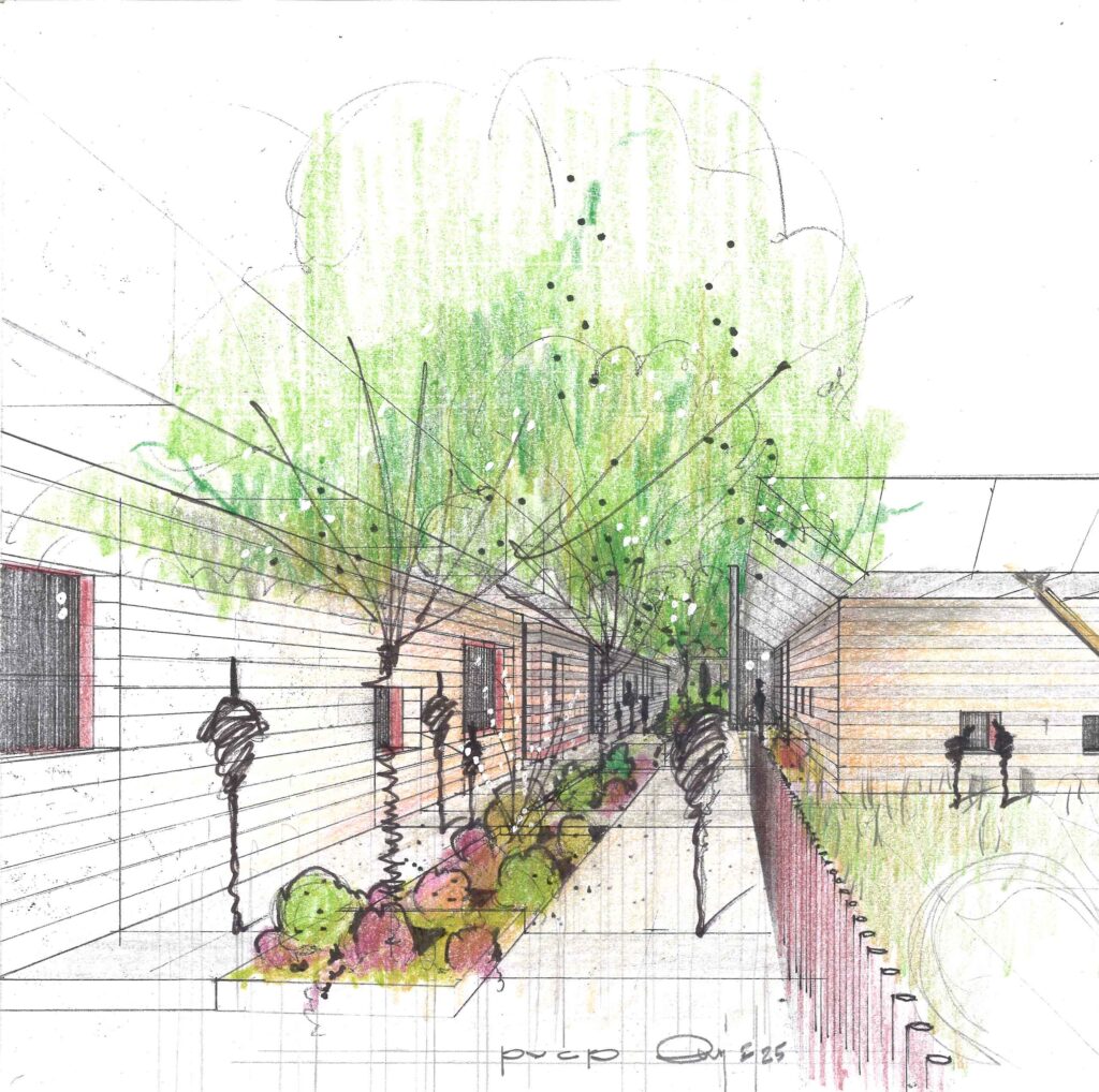 hand sketch of tree-lined walkways at PVCP lower school